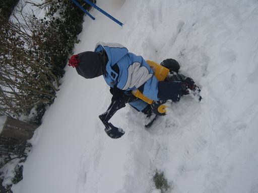 Bild zu wenn mutti kein schneeschieber hat ... - Baby Forum - Allgemeine Themen