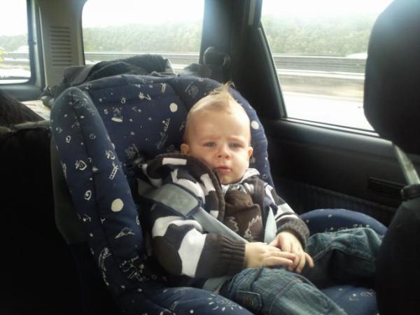 Bild zu oh,da zieh ich gleich mit - Baby Forum - Allgemeine Themen