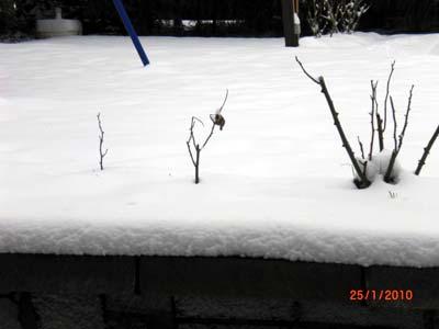 Bild zu Bei Euch auch so viel Schnee ??? m.T. - Baby Forum - Allgemeine Themen