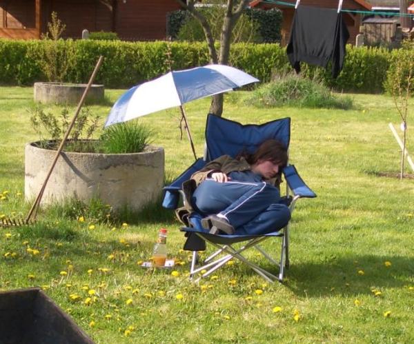 Bild zu