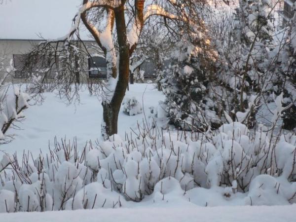 Bild zu 