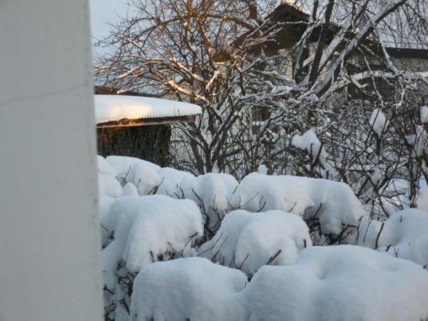 Bild zu 
