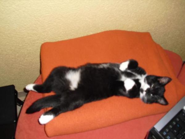 Bild zu 