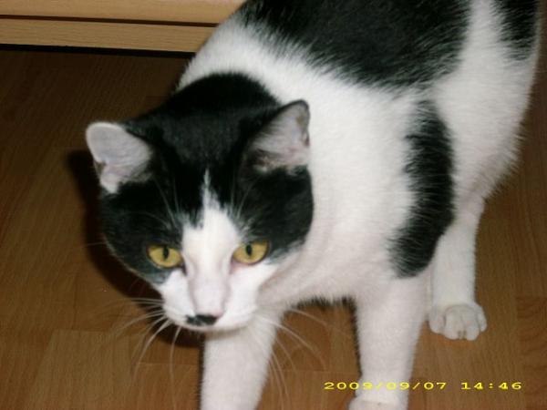 Bild zu 
