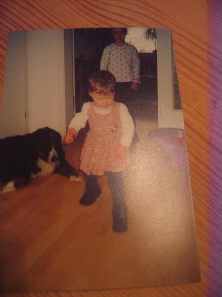 Bild zu