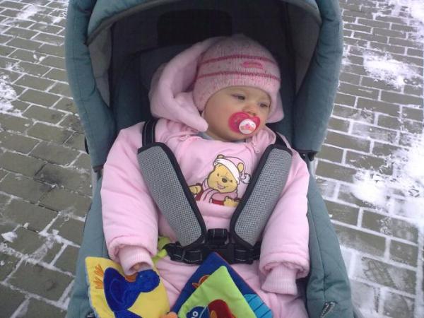 Bild zu 