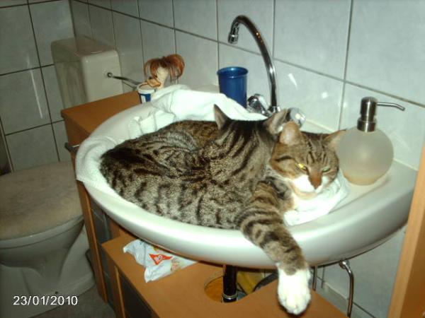 Bild zu Wollt ihr mal sehn, was aus unserem Waschbecken geworden ist!! - Baby Forum - Allgemeine Themen