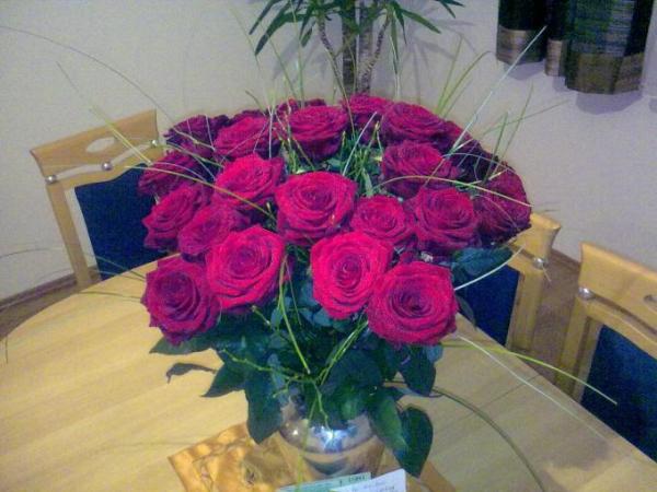 Bild zu 