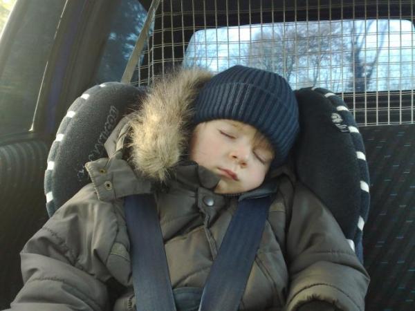 Bild zu