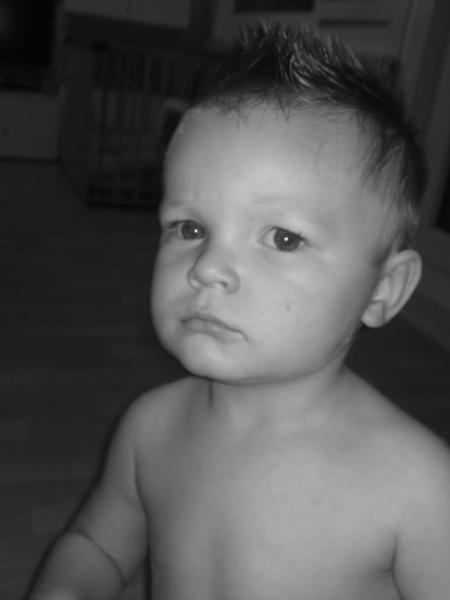Bild zu 