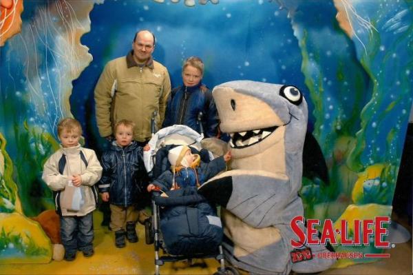 Bild zu 