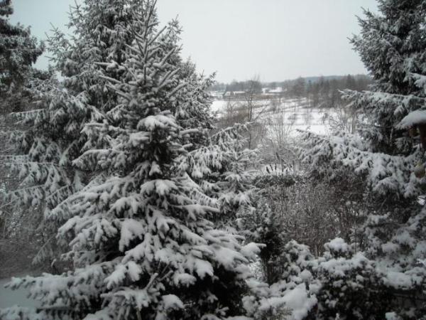 Bild zu es schneit......es schneit.... - Baby Forum - Allgemeine Themen