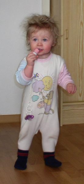 Bild zu