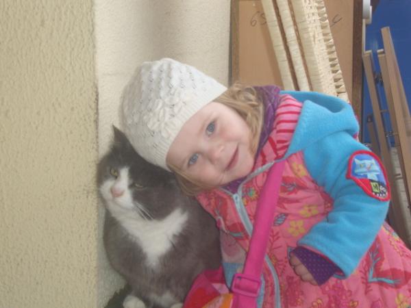 Bild zu