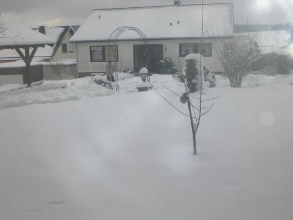Bild zu 
