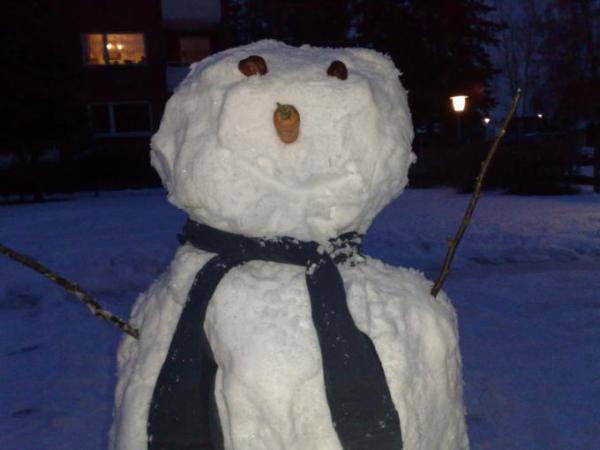 Bild zu 