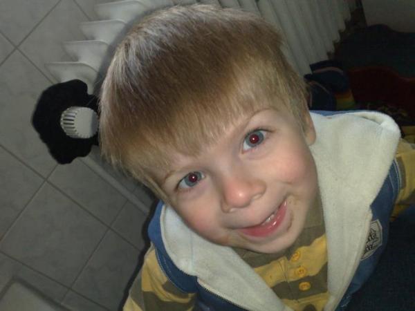 Bild zu 