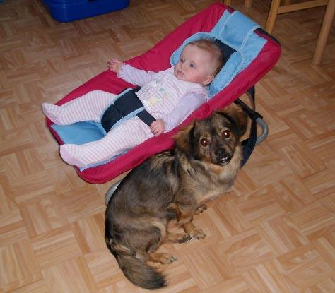 Bild zu Sunny3010 - Baby Forum - Allgemeine Themen