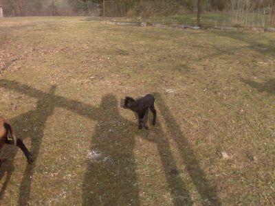 Bild zu 