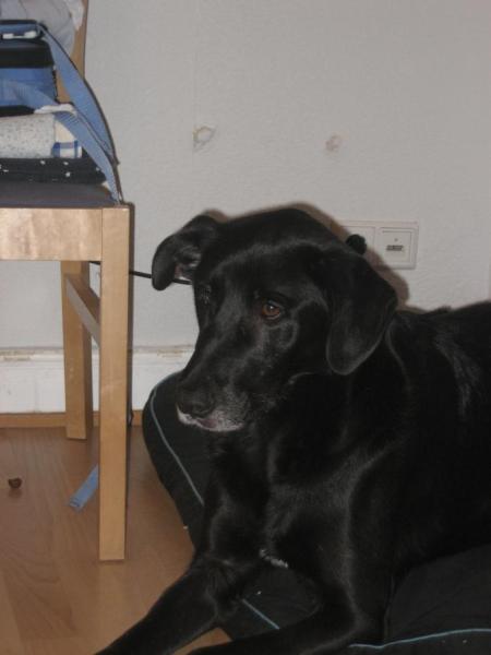 Bild zu 
