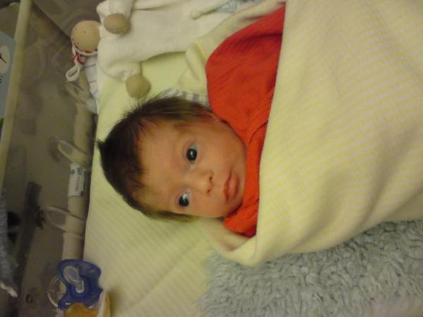 Bild zu 