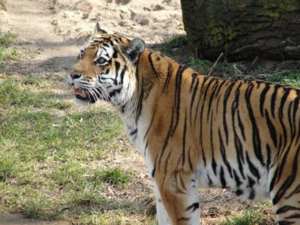 Bild zu Silopo... aber muß mal zeigen... wir waren heute im Zoo... - Baby Forum - Allgemeine Themen
