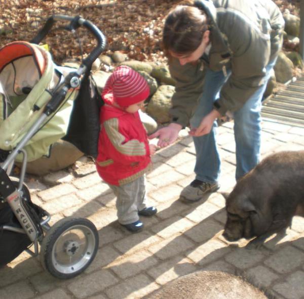 Bild zu Wir waren heute im Wildpark - Baby Forum - Allgemeine Themen