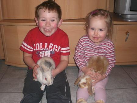 Bild zu Das sind meine 4 Süßen - Baby Forum - Allgemeine Themen