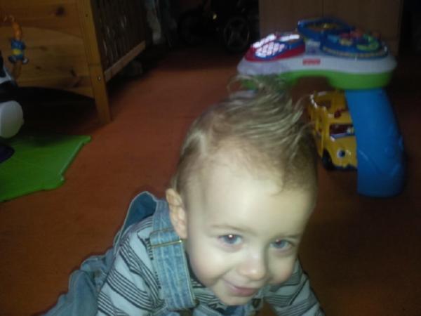 Bild zu