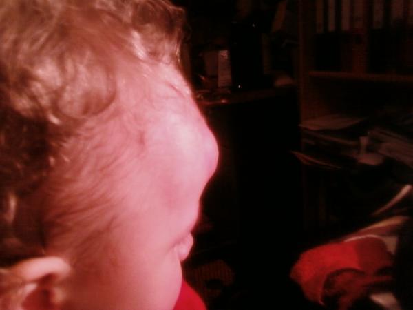 Bild zu 