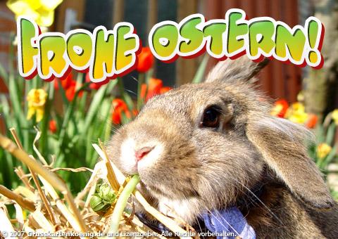 Bild zu Wünsche allen Frohe Ostern - Baby Forum - Allgemeine Themen
