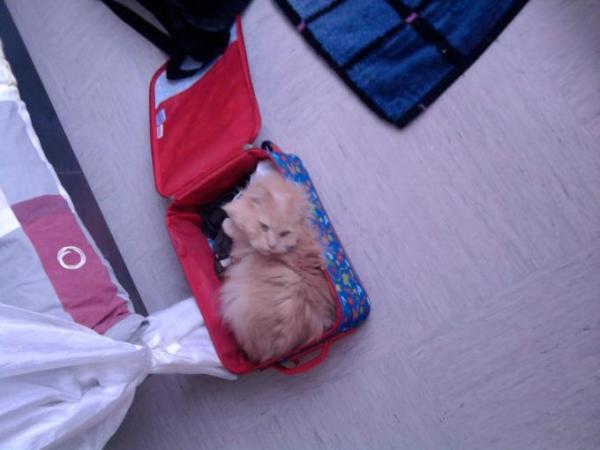 Bild zu 