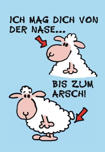 Bild zu Nicci - Baby Forum - Allgemeine Themen