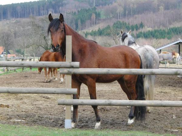 Bild zu joosy noch da? - Baby Forum - Allgemeine Themen
