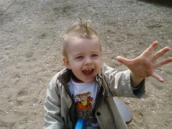 Bild zu 