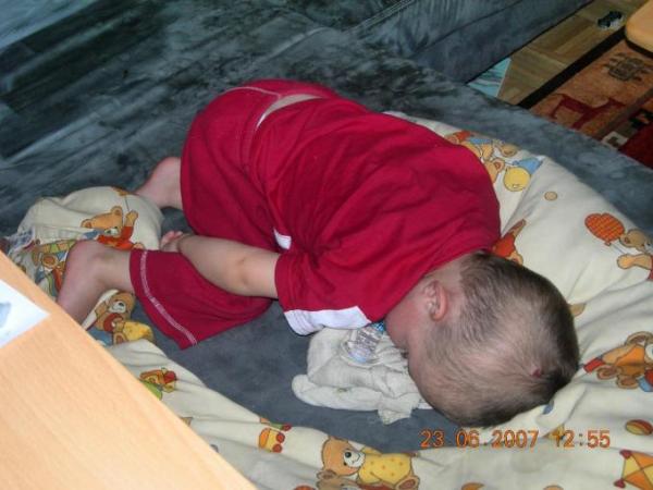 Bild zu