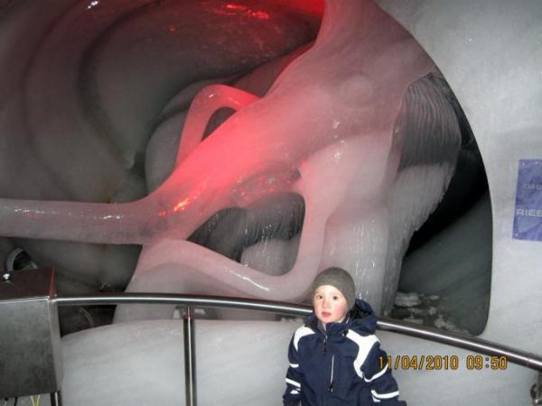 Bild zu