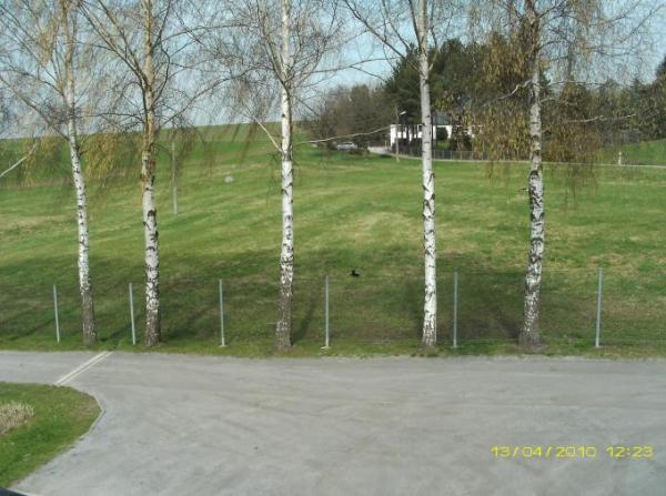 Bild zu 