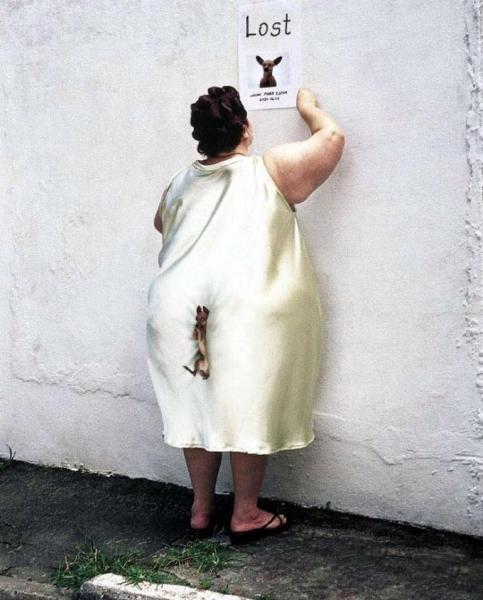 Bild zu 