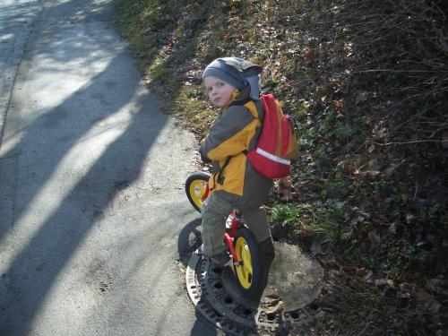 Bild zu