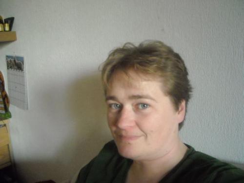 Bild zu 
