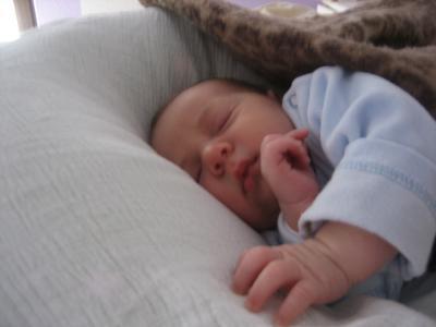 Bild zu Mein Pupsi - Baby Forum - Allgemeine Themen