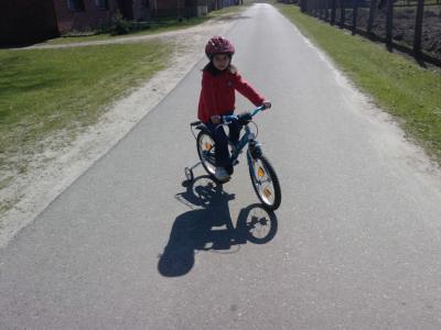 Bild zu 