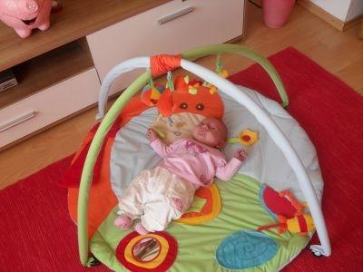 Bild zu 