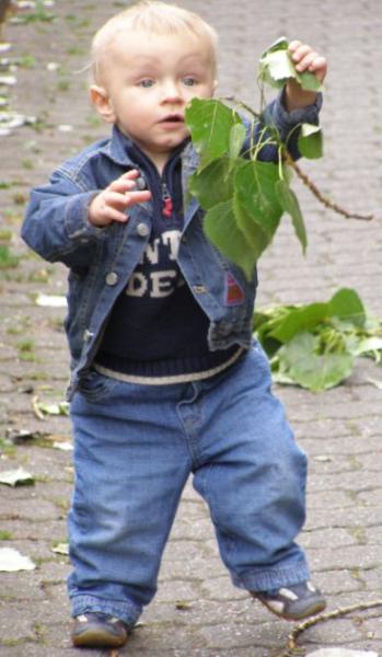 Bild zu 