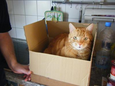 Bild zu Ich bekam heute ein merkwürdiges Paket. - Baby Forum - Allgemeine Themen