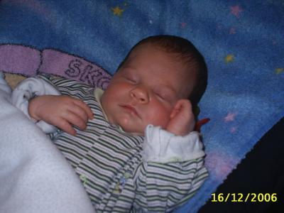 Bild zu