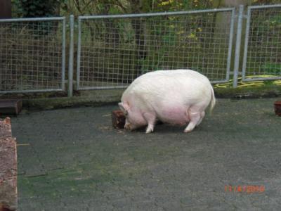 Bild zu 