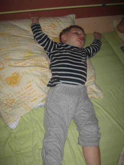 Bild zu