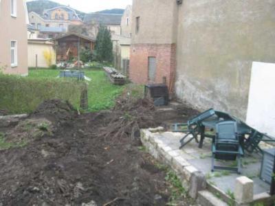 Bild zu Mein Garten *heul* - Baby Forum - Allgemeine Themen